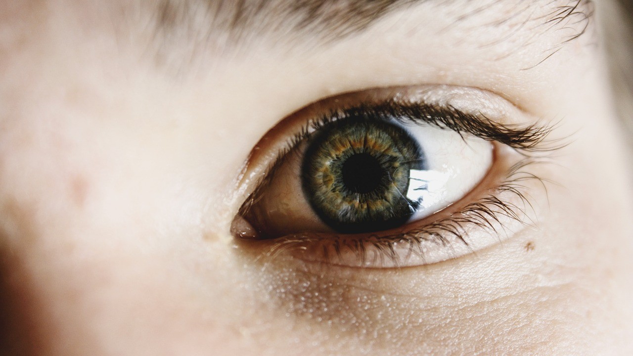 Seuls 2% de la population mondiale ont les yeux verts
